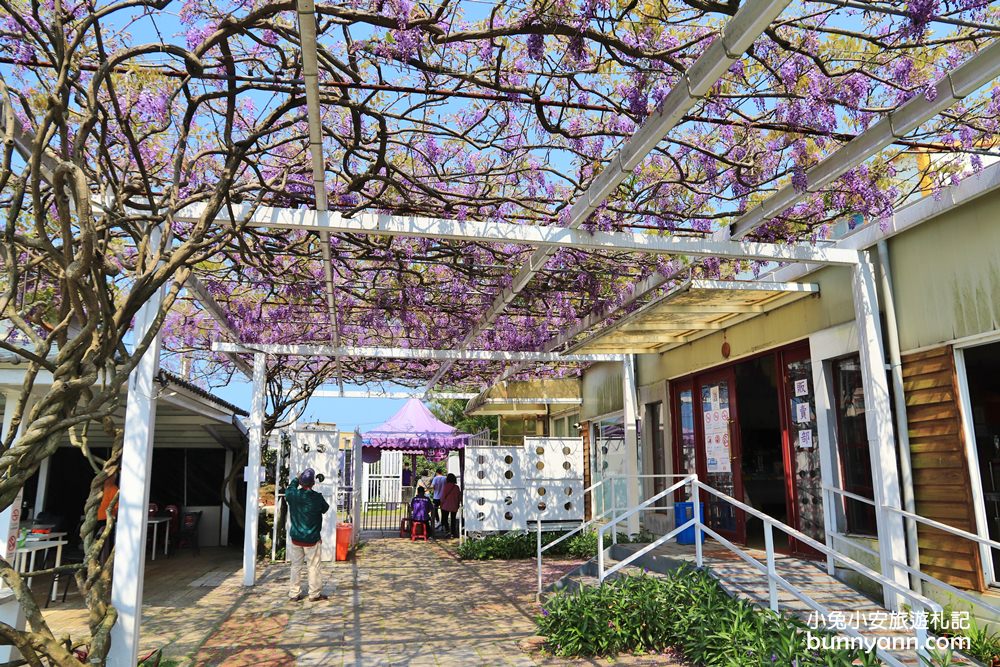 紫藤咖啡園一店屯山園區，浪漫紫藤天空、花廊等你來拍!!