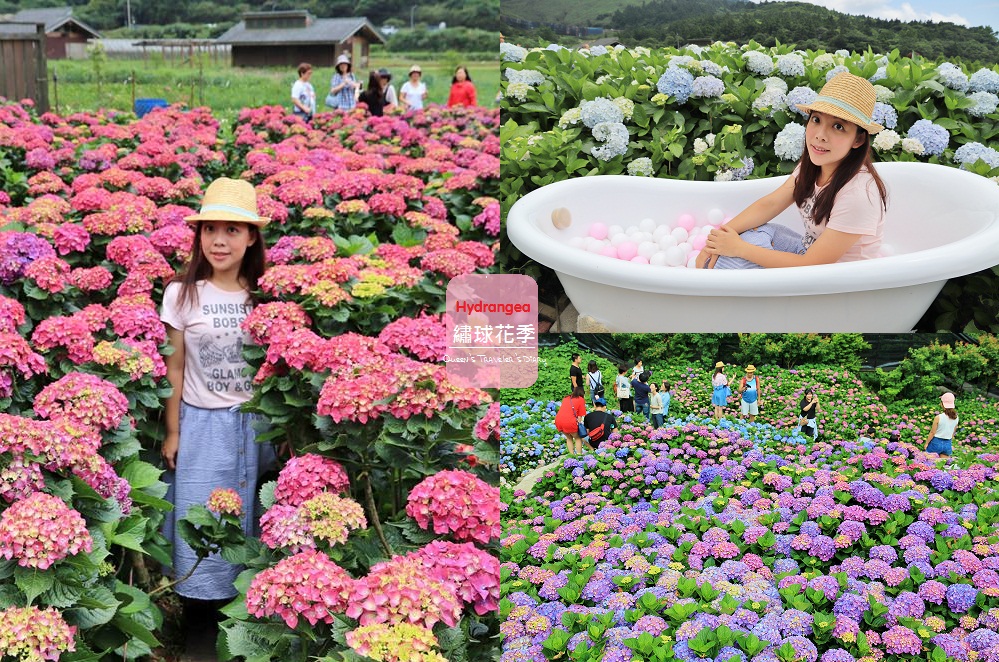 台北【內湖景點】推薦「內湖一日遊」和親子好玩地方全包
