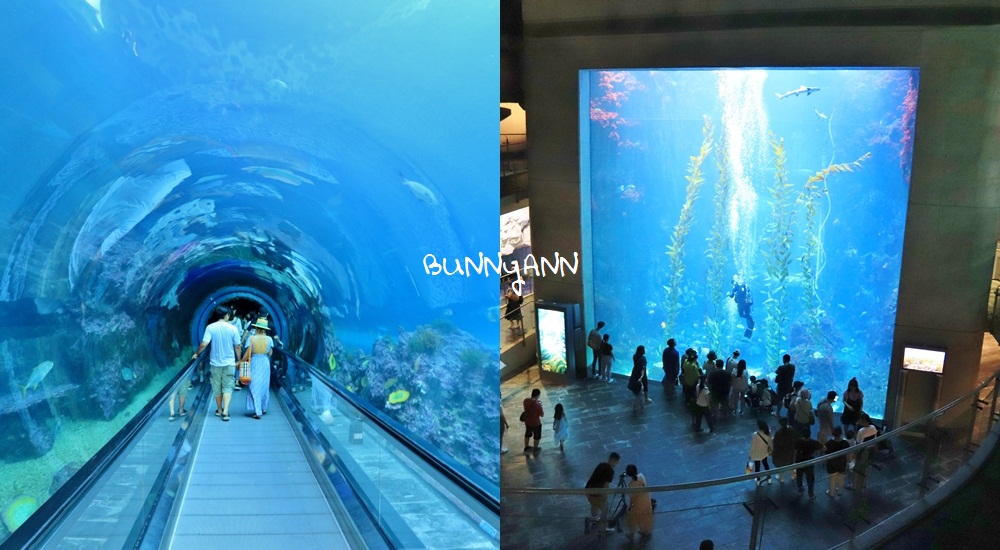 屏東海生館介紹，穿梭海底隧道，看魟魚游過眼前(門票)