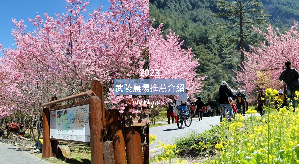 2023【武陵農場】櫻花季攻略，賞櫻專車、櫻花景點介紹