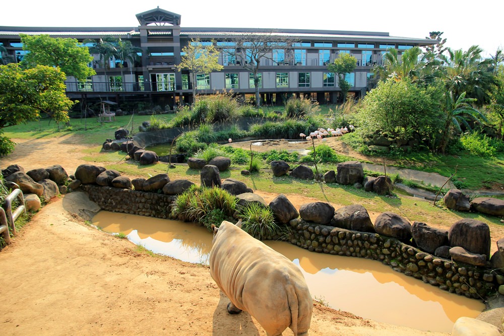關西六福莊》關西六福莊生態渡假旅館，動物園裡住一晚(2023)