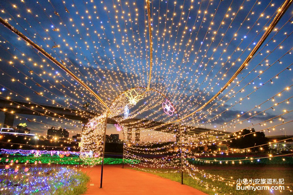 板橋新約會點 | 江翠礫間水岸蝴蝶公園，走進浪漫星空隧道、九萬隻風車組的夢幻大地景色！