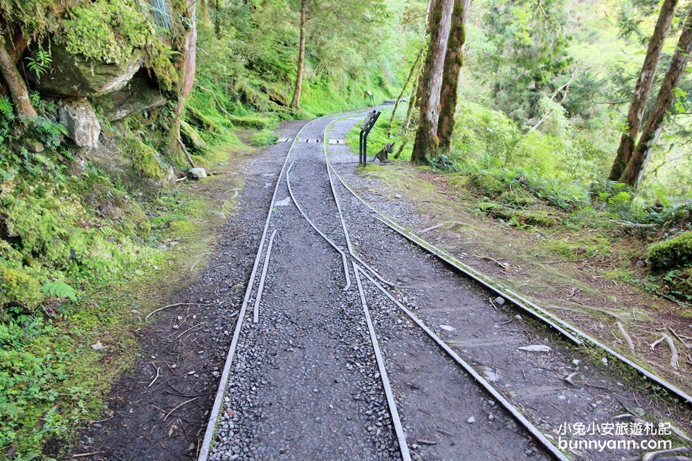 宜蘭景點 | 此生必遊!全球最美小路見晴懷古步道，絕美綠之森林鐵道~