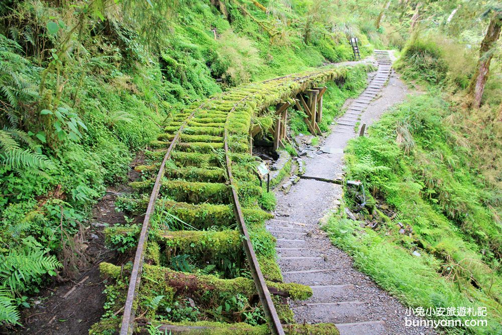 宜蘭全球最美小路見晴懷古步道，絕美綠之森林鐵道