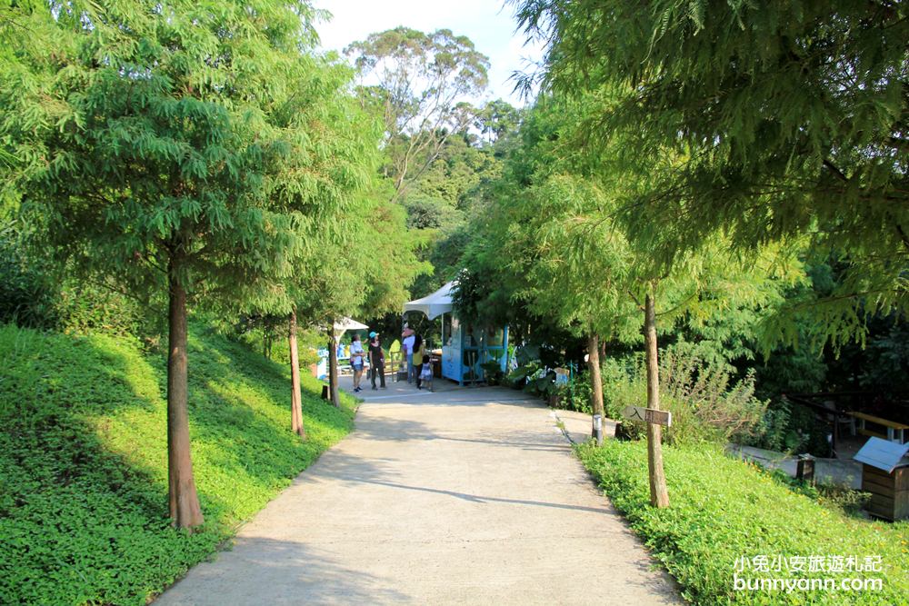 新埔森林鳥花園(已歇業)，超長森林溜滑梯、大樹屋、戲水池整個玩翻天~