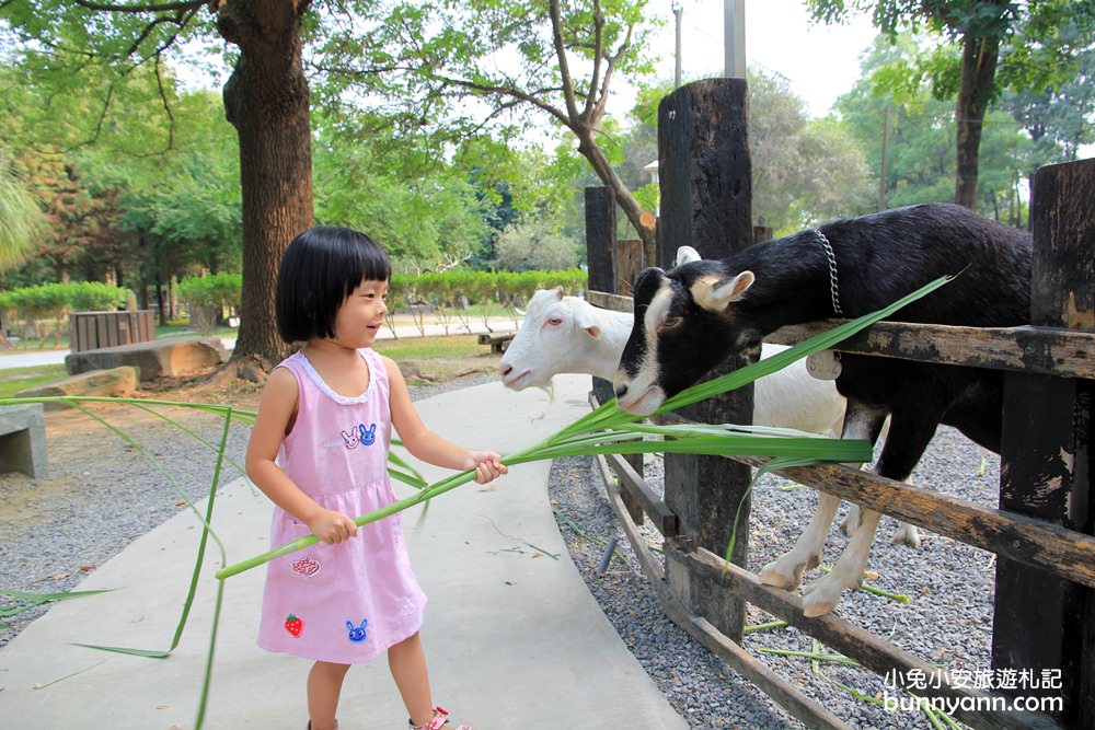 台灣餵羊農場推薦，10個看羊的地方，餵羊吃草就開心ㄟ