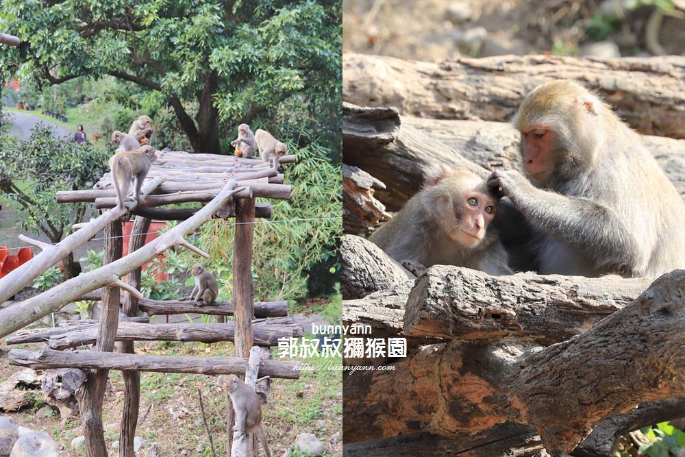 台中景點》郭叔叔獼猴園，可愛小猴子照鏡子吃水果，獼猴餵食秀超厲害！