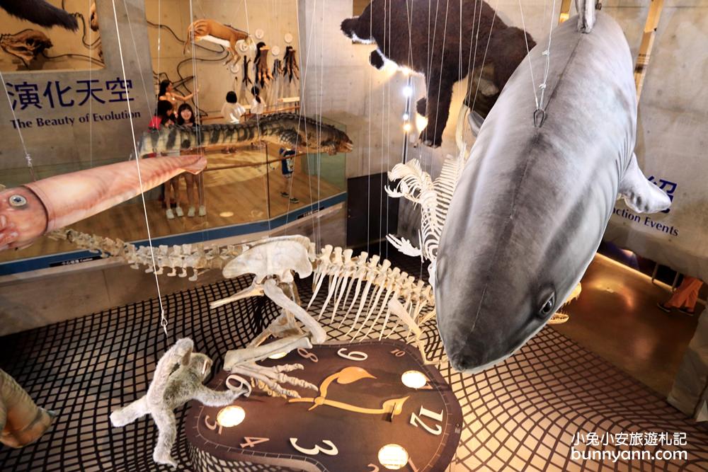 【臺南左鎮化石園區】全台第一座遠古化石博物館超好玩