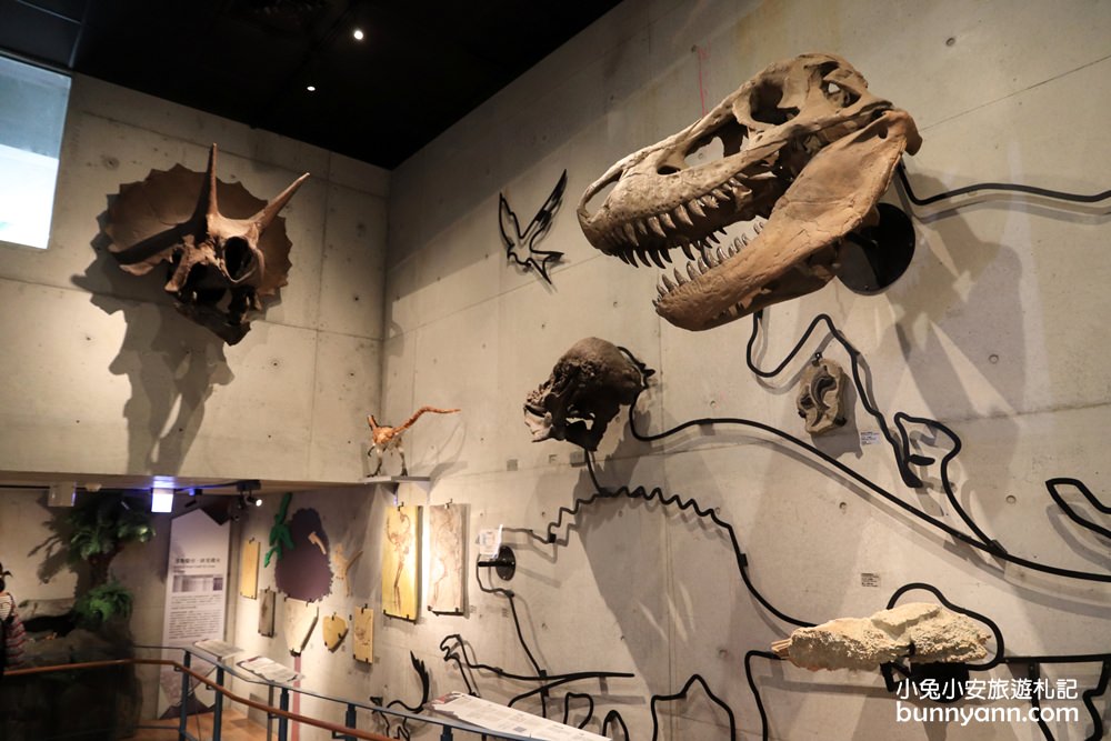 台南景點》臺南左鎮化石園區，全台第一座遠古化石博物館超好玩~
