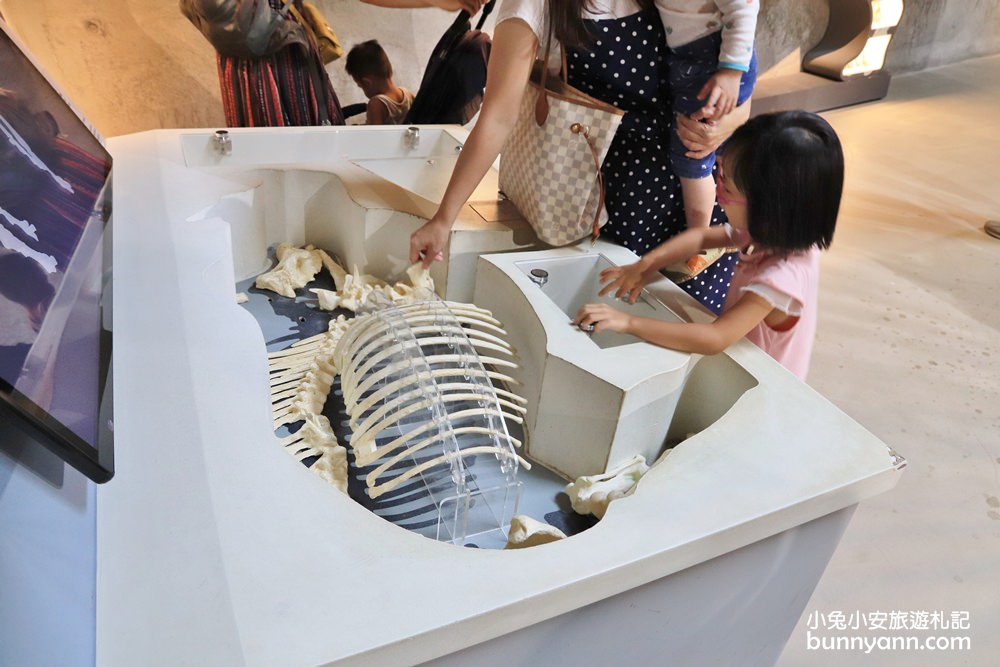 【臺南左鎮化石園區】全台第一座遠古化石博物館超好玩
