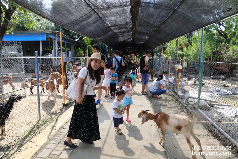 台南景點》樹谷農場，超多可愛小動物能餵食，還有樹屋溜滑梯與大沙坑好放電～