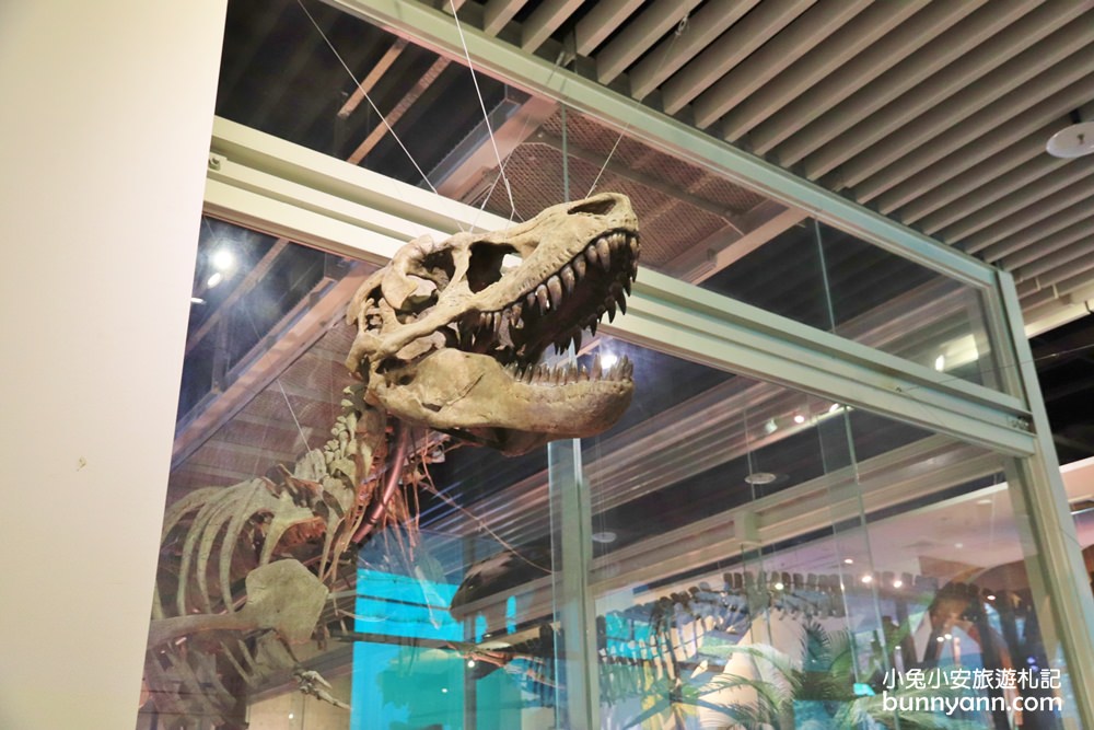 台南景點》樹谷生活科學館，新恐龍石器時代登場！騎恐龍、石頭圖書館超有趣～