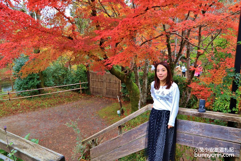 日本九州》由布院必遊景點夢幻金鱗湖，日本賞楓去處，童話小鎮尋寶趣～