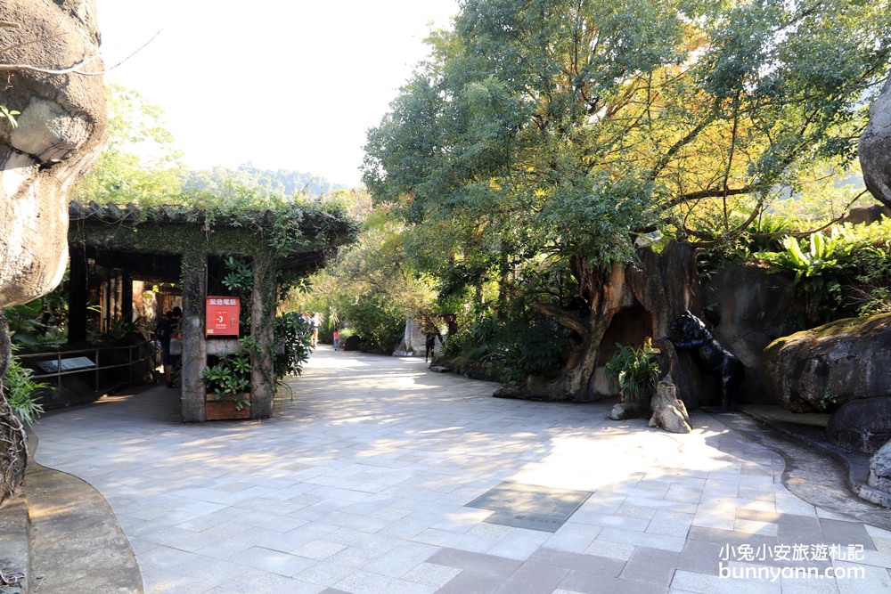 台北木柵動物園，穿山甲館森林天空步道、水藍海底隧道好好拍