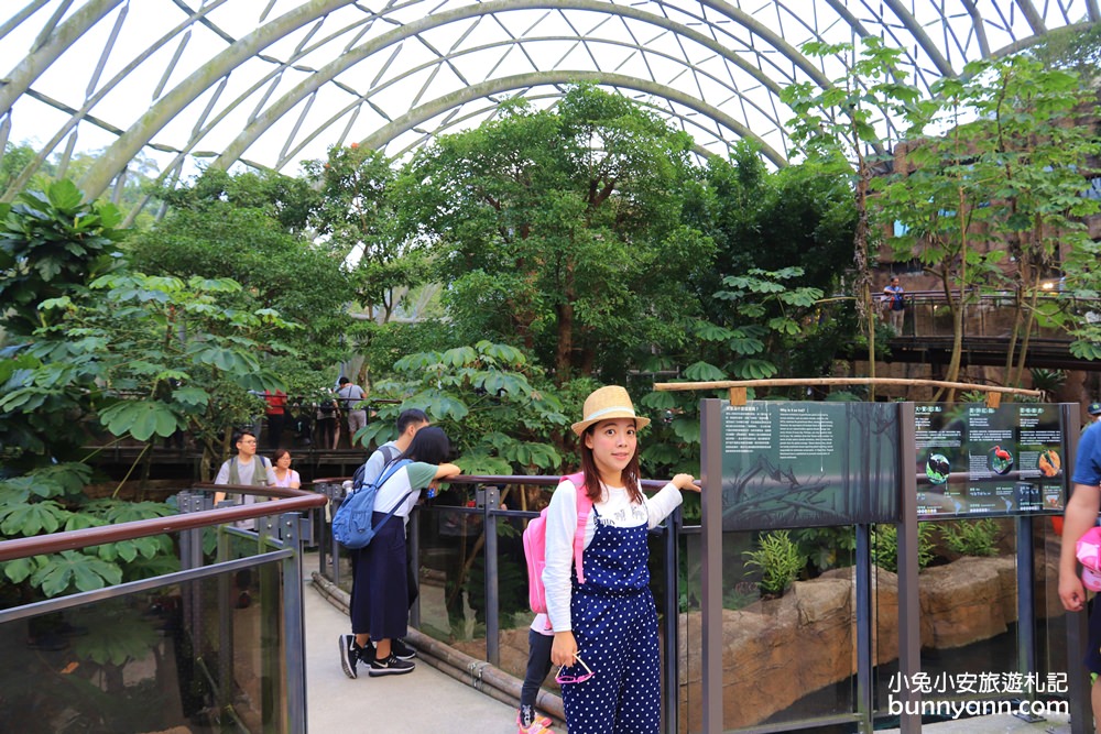 台北木柵動物園，穿山甲館森林天空步道、水藍海底隧道好好拍