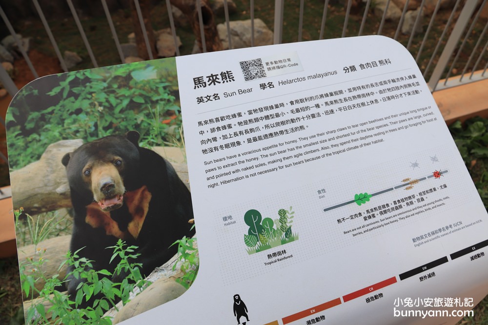 新竹新景點》新竹市立動物園，大嘴河馬樂樂來了，可愛動物明星齊聚一起!