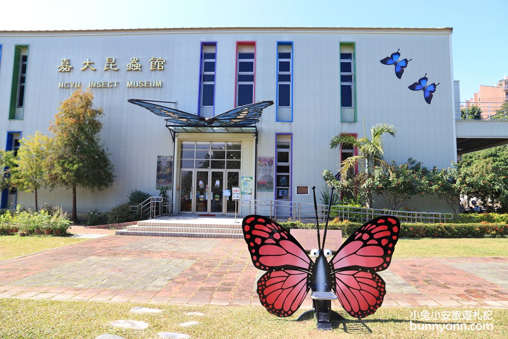 嘉義新嘉大昆蟲館，走進蝴蝶森林裡，全台唯一的旋轉彩蝶柱