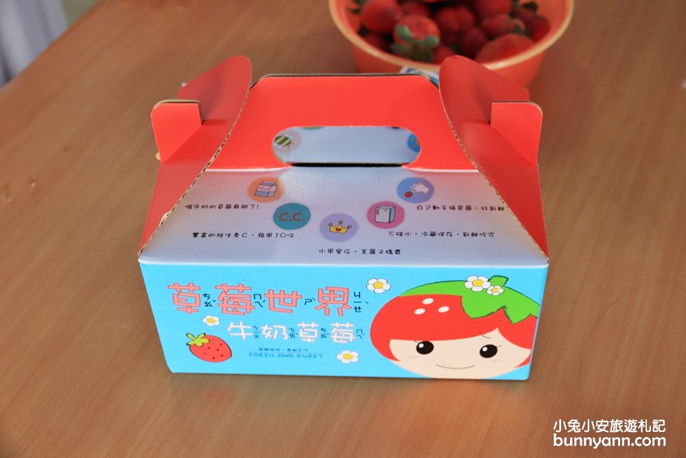 台中景點》潭子草莓世界入園免費！中台灣草莓季開始啦～酸甜的新鮮草莓等你來採！