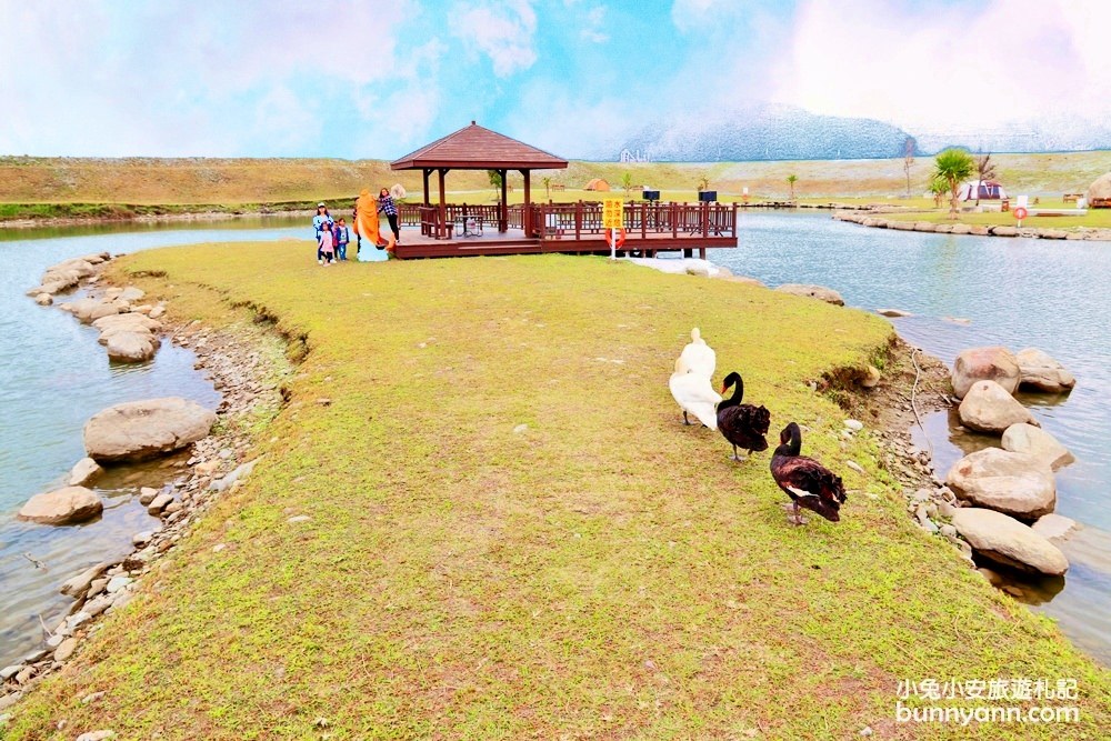 花蓮景點》崇德瑩農場，散步在紐西蘭牛牧場(2023門票)
