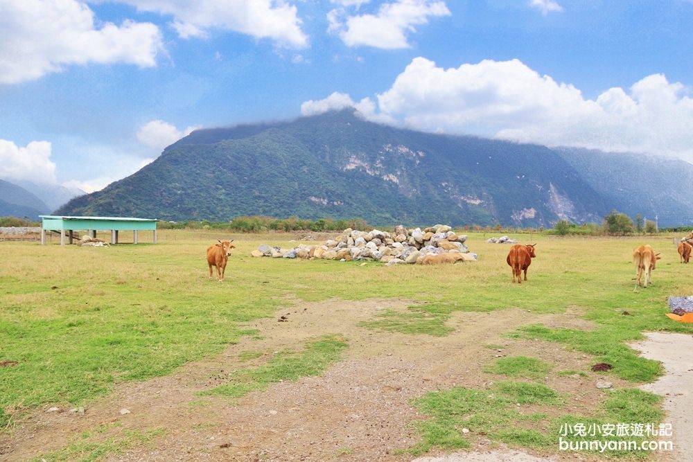 花蓮新景點》崇德瑩農場又一免費景點曝光，悠閒散步在紐西蘭牛牧場！
