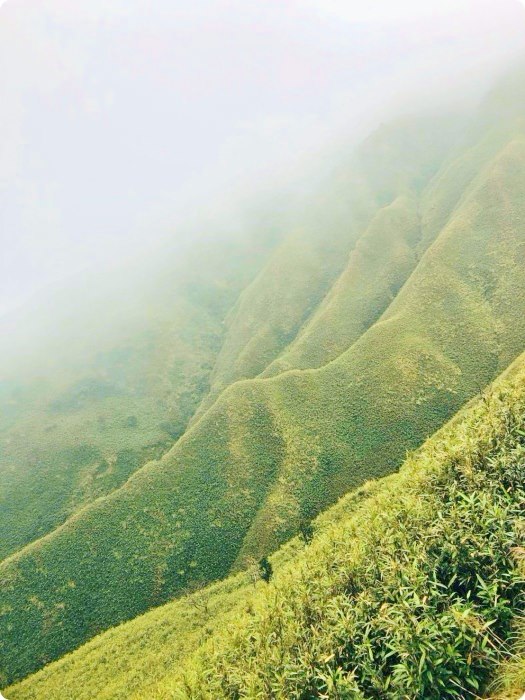 宜蘭礁溪抹茶山飄著雲霧的草原山岳無敵美(聖母山莊風景)