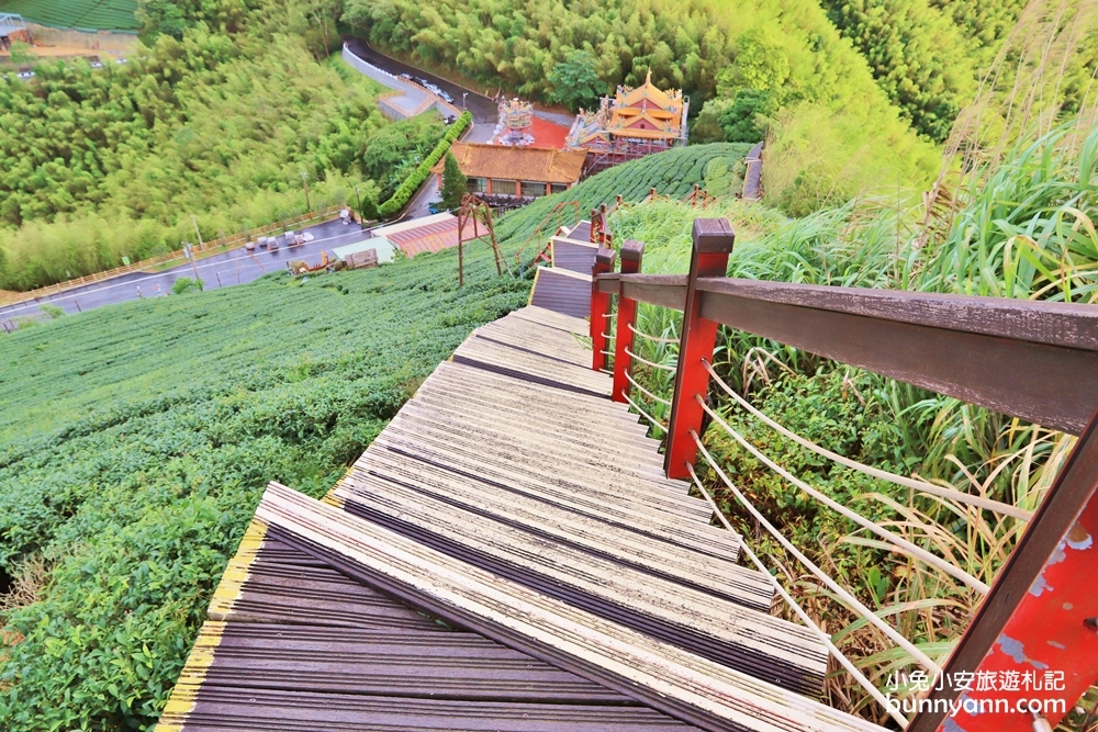 嘉義親民版抹茶山「二尖山步道」十分鐘輕鬆賞山嵐美景，茶園風光好美麗