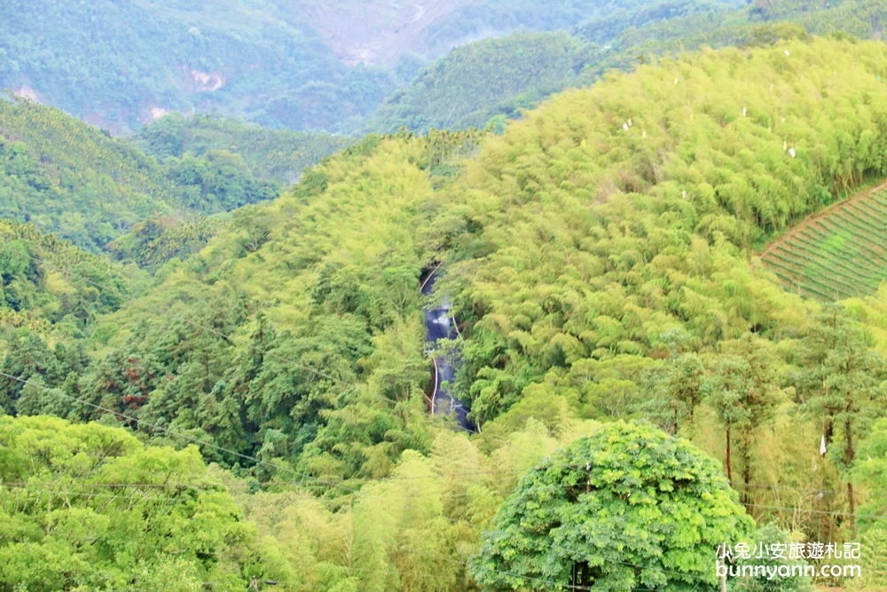 嘉義親民版抹茶山「二尖山步道」十分鐘輕鬆賞山嵐美景，茶園風光好美麗