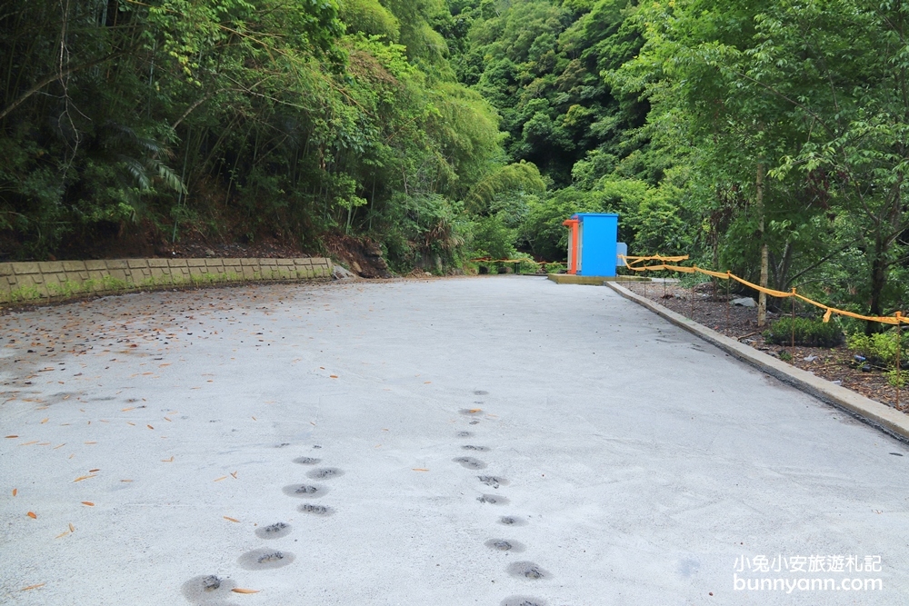 新竹尖石景點》老鷹溪步道，20分鐘賞山谷飛瀑一日遊