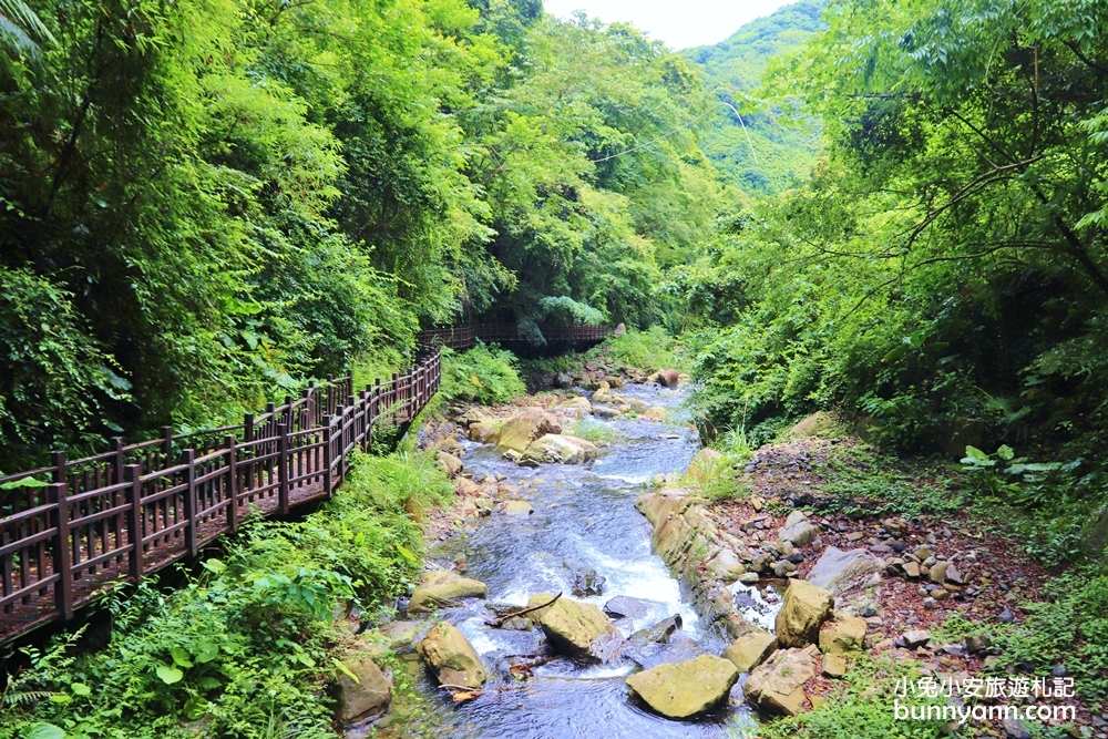 新竹尖石五星級老鷹溪步道，20分鐘賞山谷飛瀑一日遊