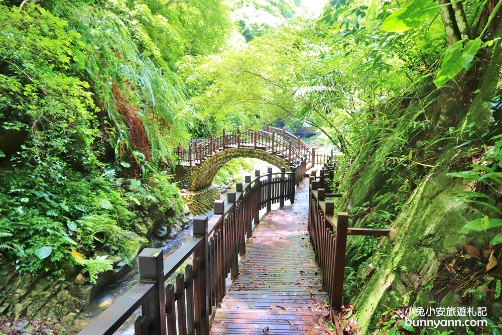 新竹尖石景點》老鷹溪步道，20分鐘賞山谷飛瀑一日遊
