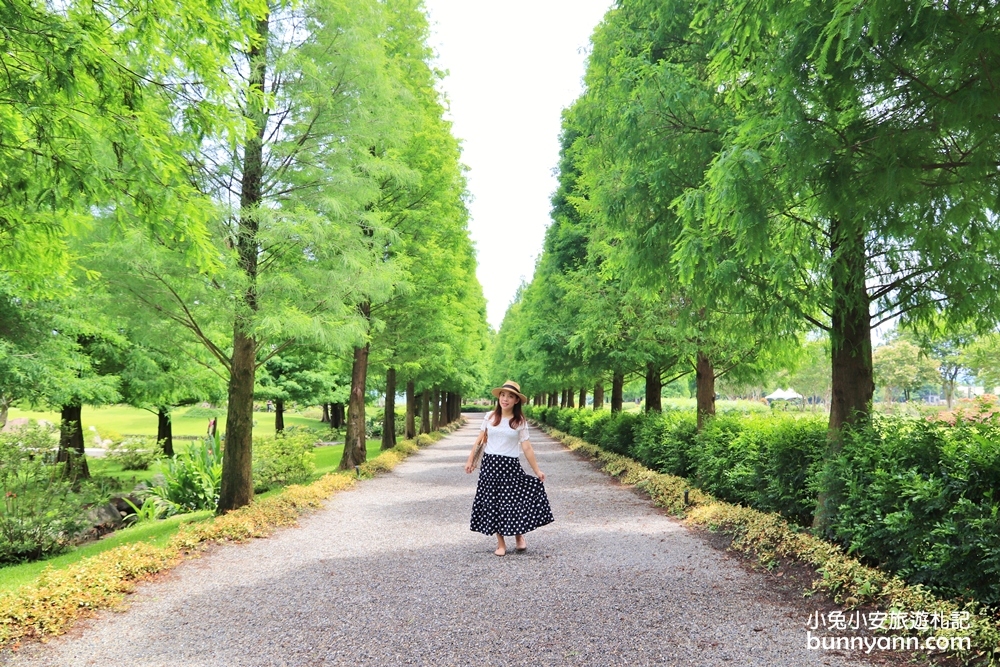 彰化景點》美如日本兼六園!成美文化園真的好好拍，落羽松大道、日式庭院享受慢活人生。
