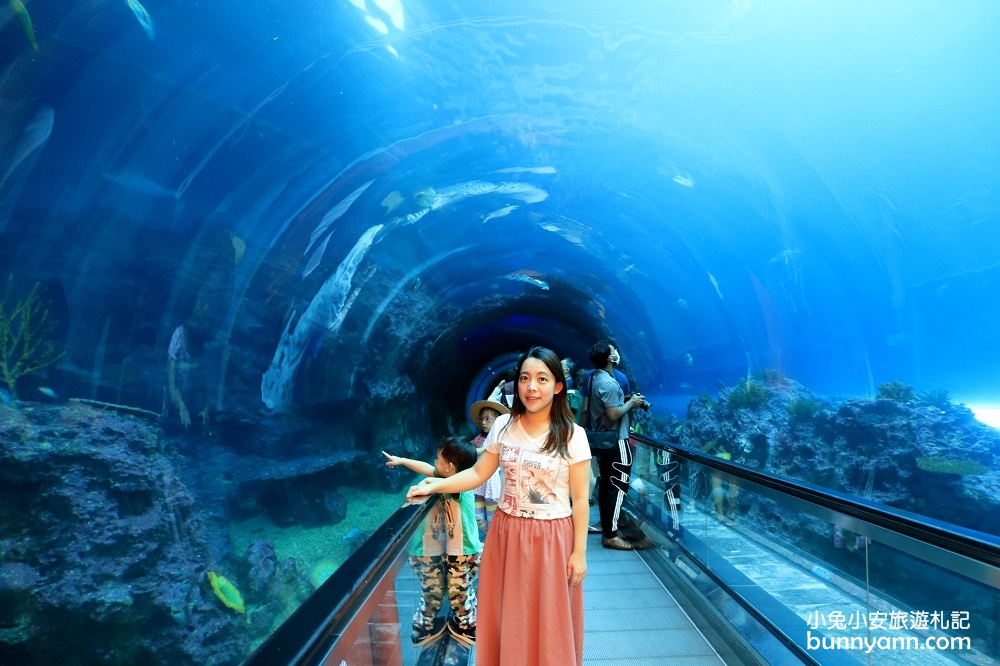 屏東墾丁》最療癒水下王國！屏東海生館介紹，穿梭水藍色海底隧道，看大魟魚游過眼前～