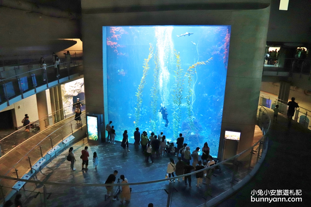 屏東墾丁》最療癒水下王國！屏東海生館介紹，穿梭水藍色海底隧道，看大魟魚游過眼前～