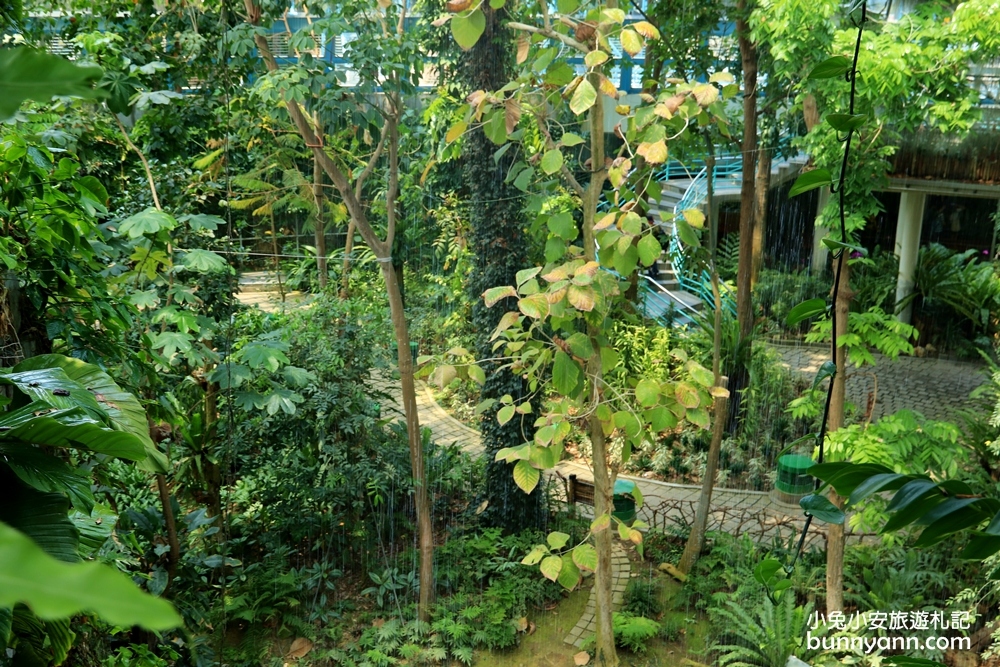台中景點》小亞馬遜雨林！台中植物園迷你熱帶雨林，走進叢林裡找尋冒險味道～