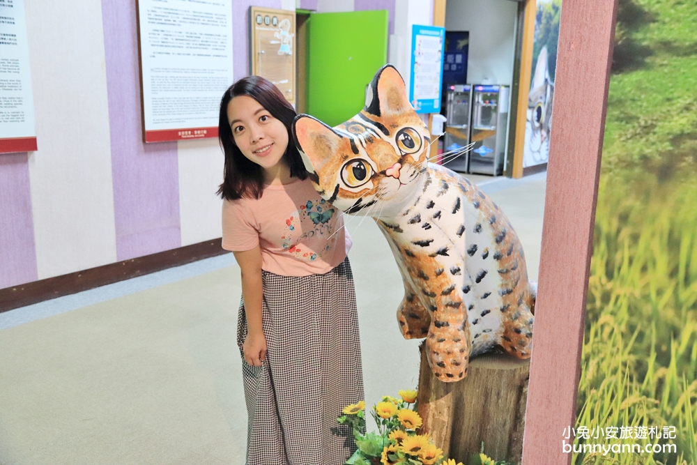 南投景點》超珍貴！台灣特有生物研究保育中心，可愛石虎、黑熊出沒中～