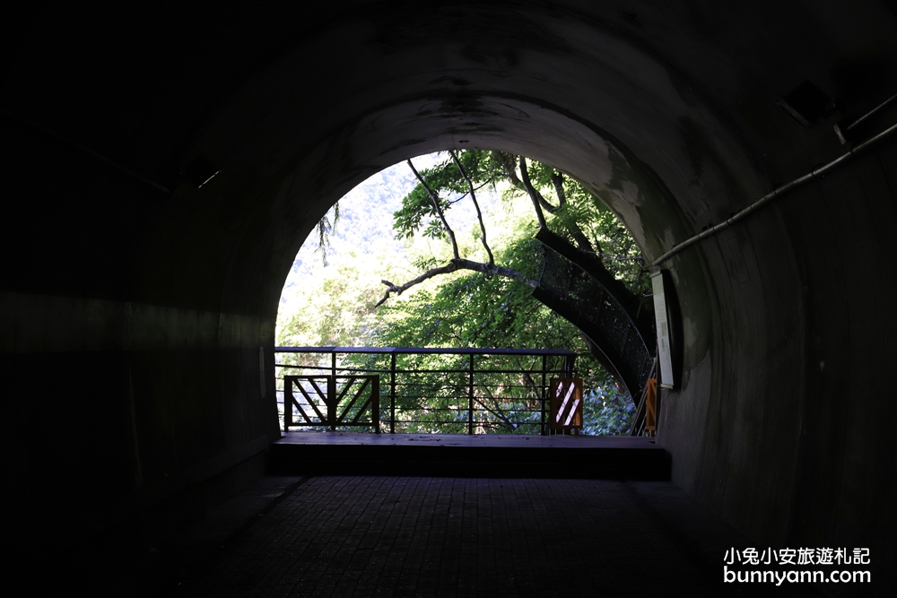 【小錐麓步道】花蓮景點推薦，15分鐘攻略兩條吊橋與太魯閣河谷
