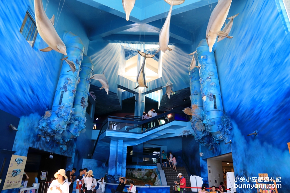 澎湖景點》美麗水下世界！澎湖水族館海底隧道，潛水員餵食秀，可愛水母寶寶都在這~