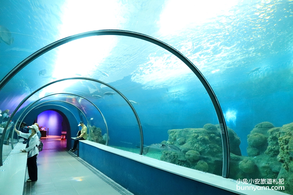 澎湖水族館海底隧道，潛水員餵食秀，最新門票優惠資訊