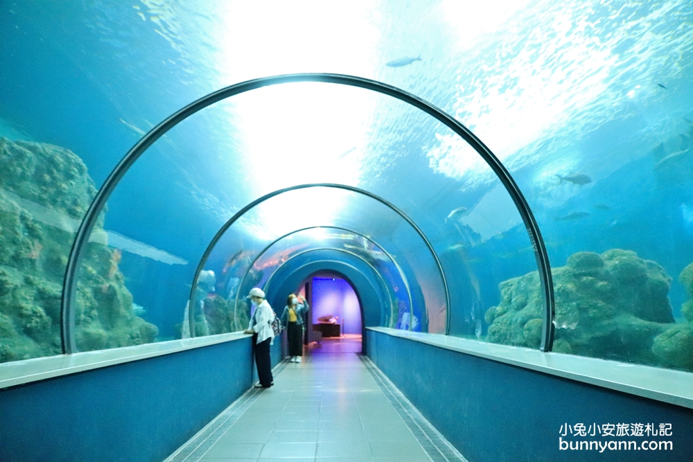 澎湖水族館海底隧道，潛水員餵食秀，最新門票優惠資訊