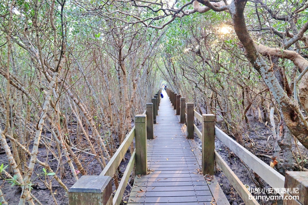新竹景點》龍貓隧道！新豐紅樹林生態保護區，追逐濕地夕陽就來這～