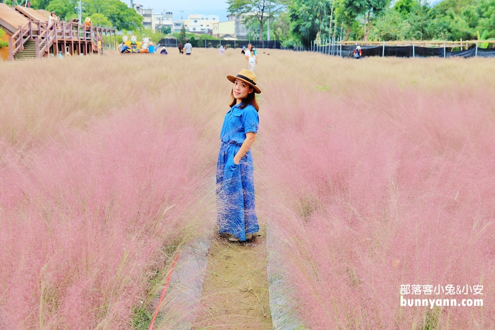 南投》免飛韓國了！集集浪漫粉黛亂子草，和平快樂田園粉紅棉花糖場景好夢幻！