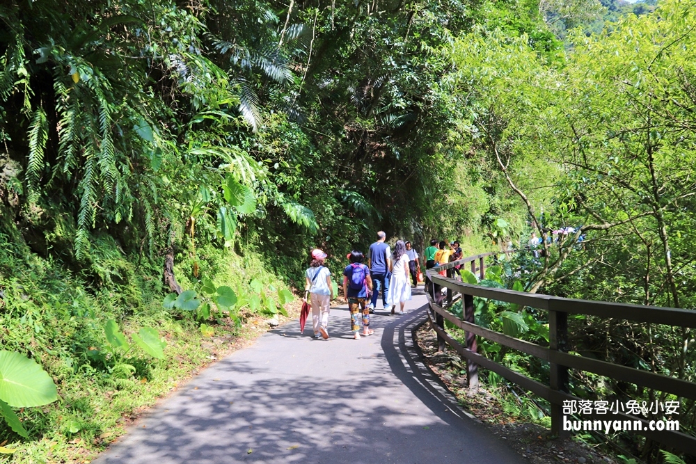 烏來五星級「內洞森林遊樂區」30分鐘賞山谷飛瀑，門票優惠整理