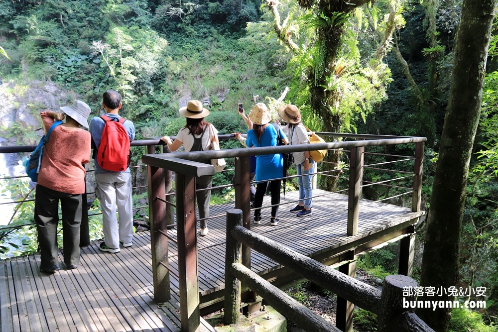 烏來五星級「內洞森林遊樂區」30分鐘賞山谷飛瀑，門票優惠整理
