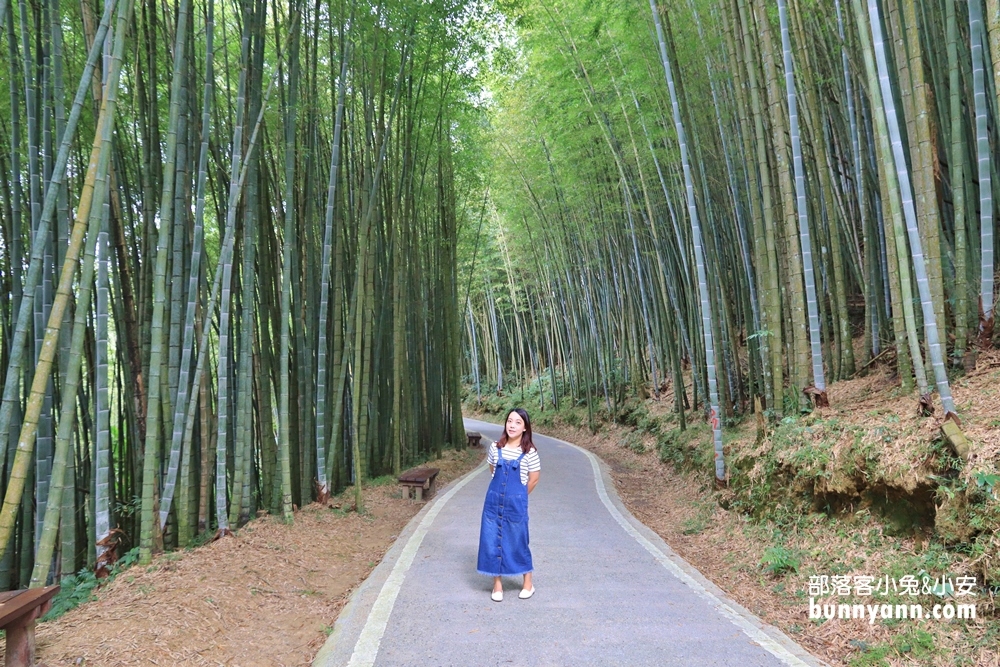 瑞里綠色隧道浪漫竹林步道免費拍，美如明信片場景。