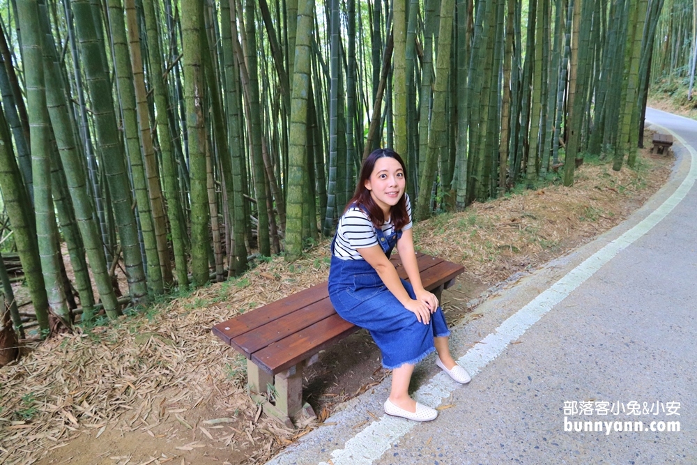 瑞里綠色隧道浪漫竹林步道免費拍，美如明信片場景。