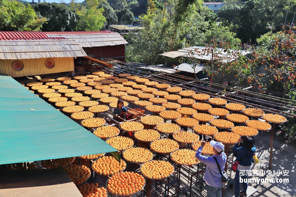新竹「味衛佳柿餅觀光農場」門票資訊與怎麼去總整理