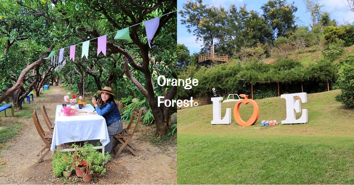 苗栗頭屋橙香森林，藏在橘子園裡的玻璃屋下午茶超放鬆
