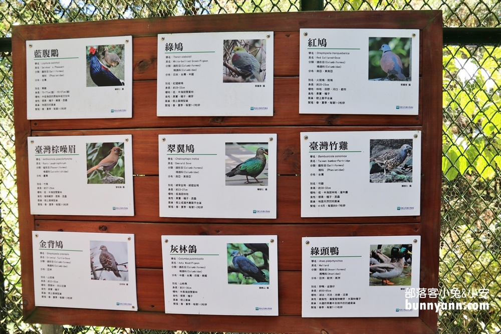 南投鳳凰谷鳥園生態園區，停留時間建議與門票資訊