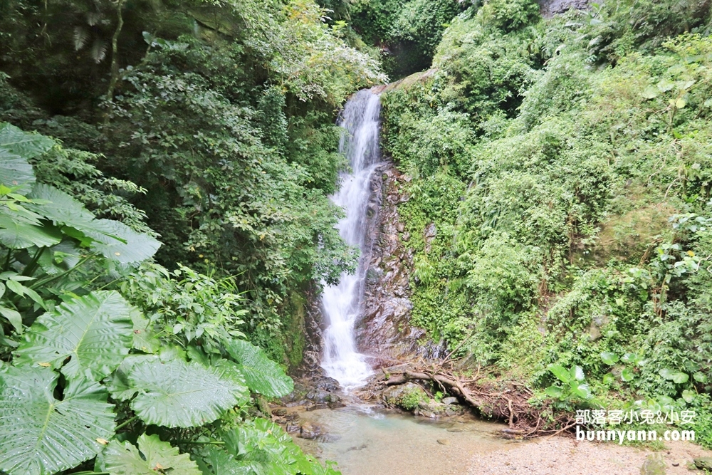 花蓮瀑布森林浴，撒固兒步道入門級森林步道，十分鐘輕鬆賞飛瀑
