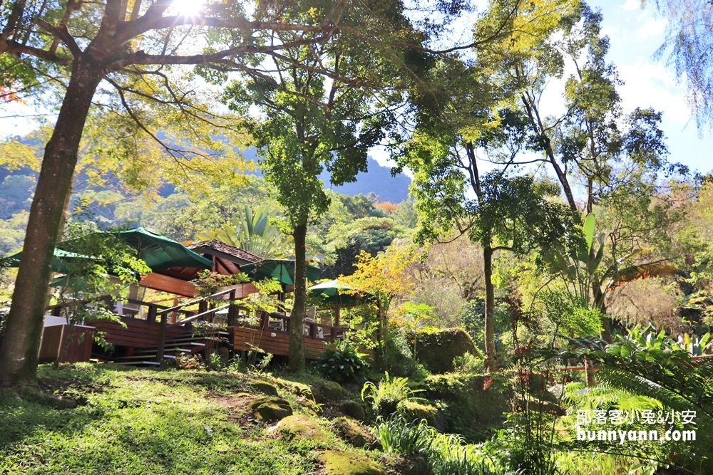 台中桃李河畔森林下午茶，森林小徑、池畔賞景，一起沐浴自然中